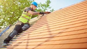 Best Roof Moss and Algae Removal  in Santa Clara, UT